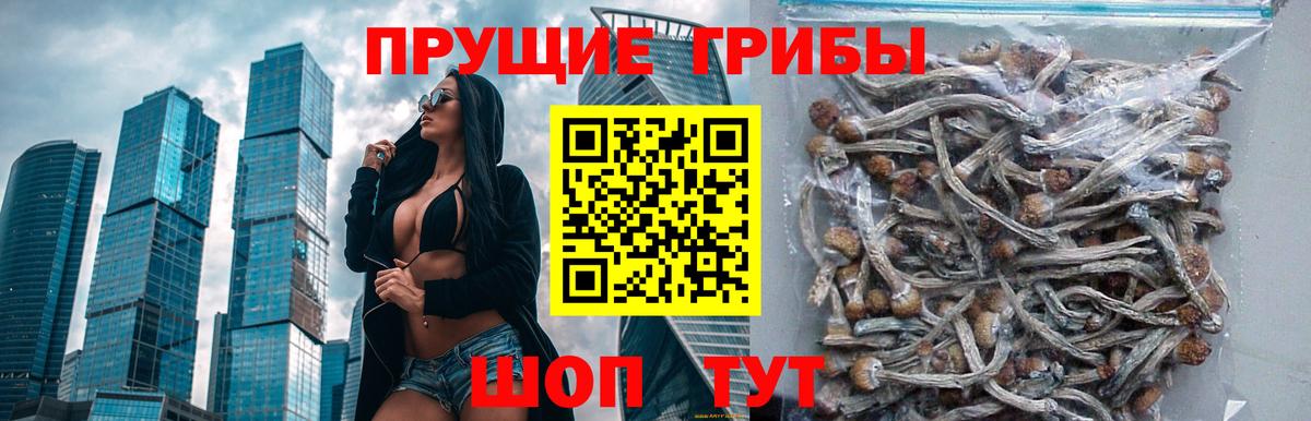 Псилоцибиновые грибы Psilocybe  Вход с VPN  Галлюциногенные грибы MAGIC MUSHROOMS  Кириши 